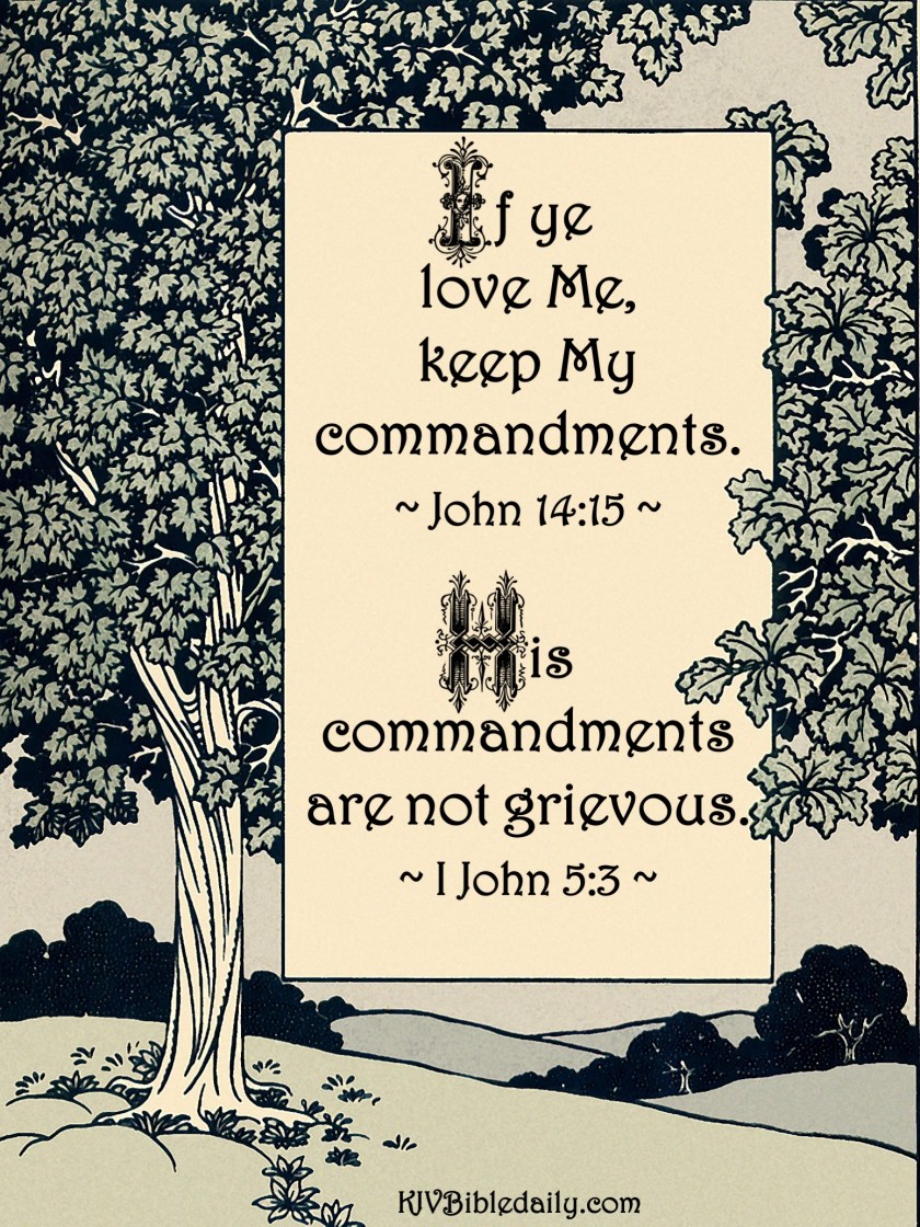 John 14-15 KJV.jpg