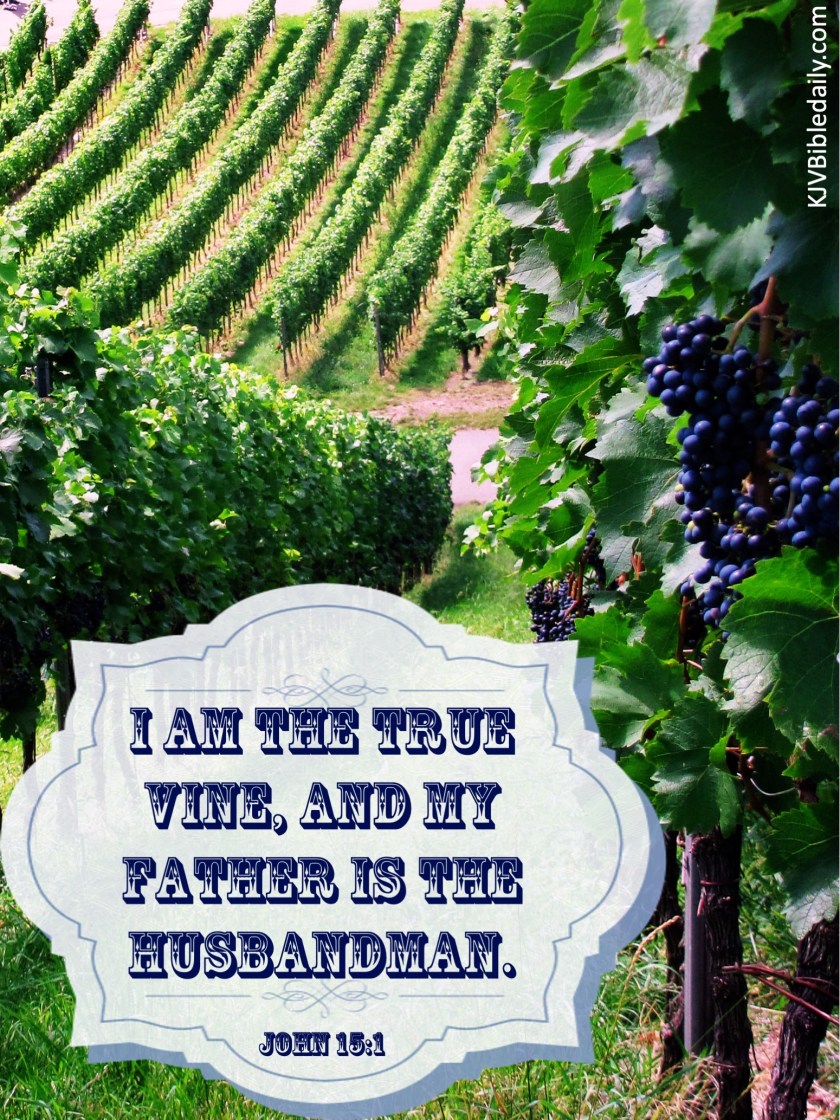 John 15-1 KJV.jpg
