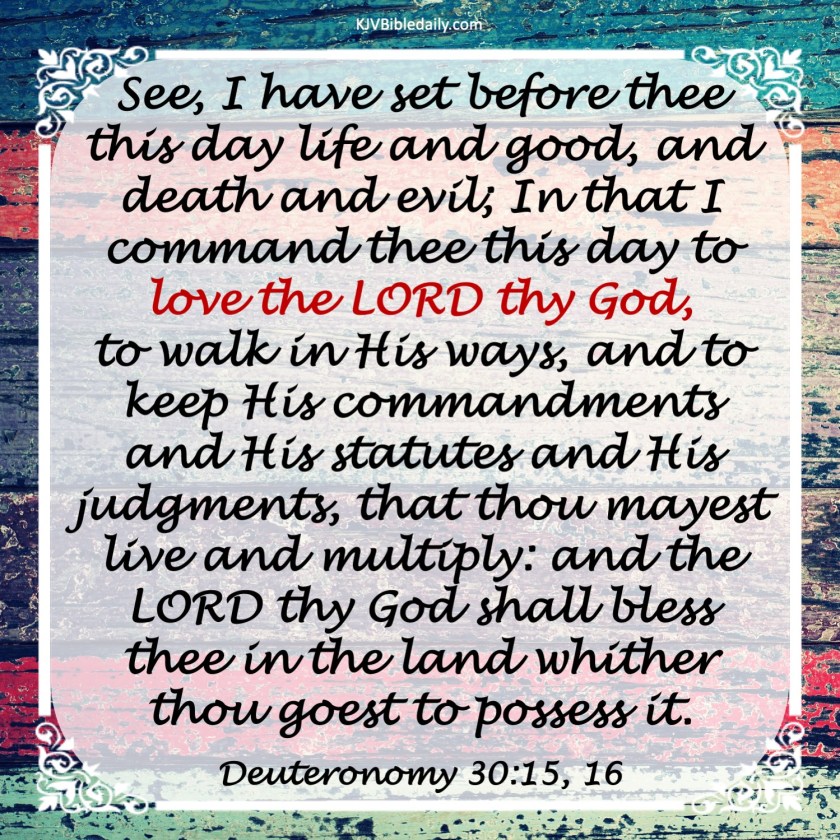 Deuteronomy 30-15, 16 KJV