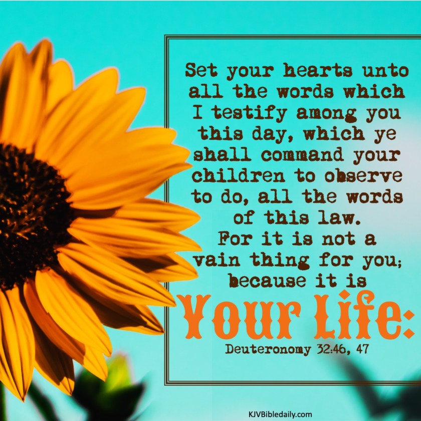 Deuteronomy 32-46, 47 KJV