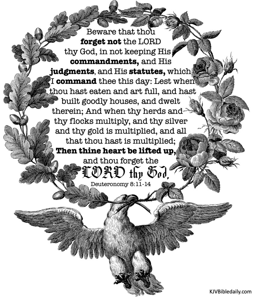 Deuteronomy 8-11-14 KJV