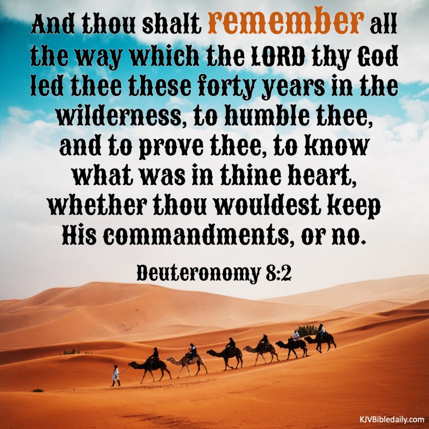 Deuteronomy 8-2 KJV