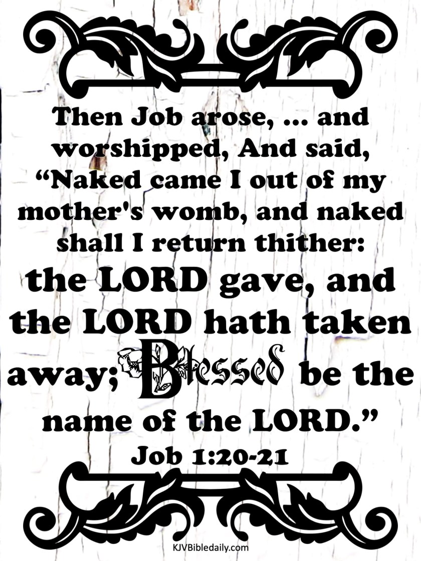 Job 1-20-21 KJV.jpg