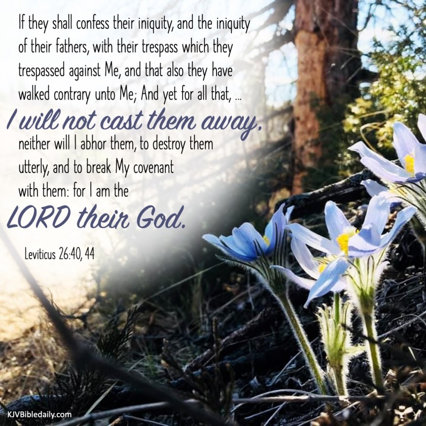 Leviticus 26-40 KJV.jpg