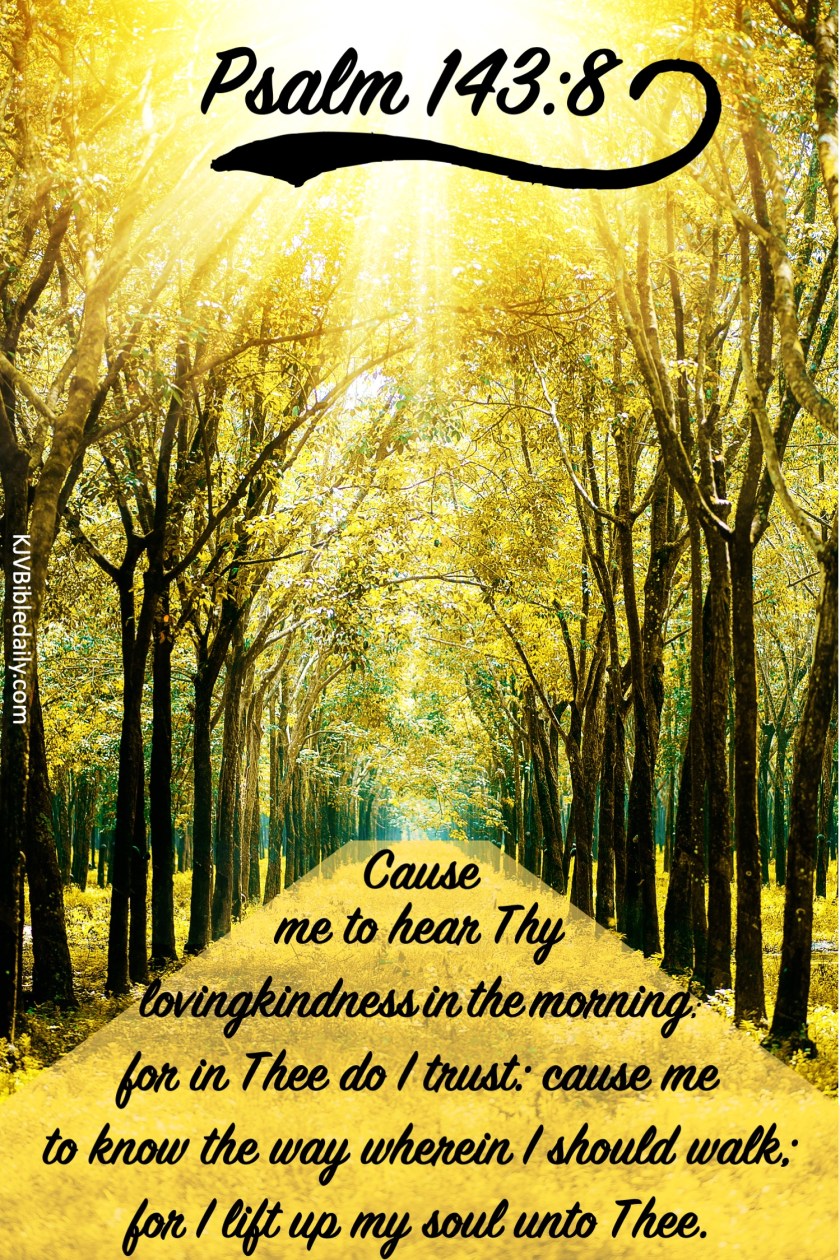 Psalm 143 8 KJV