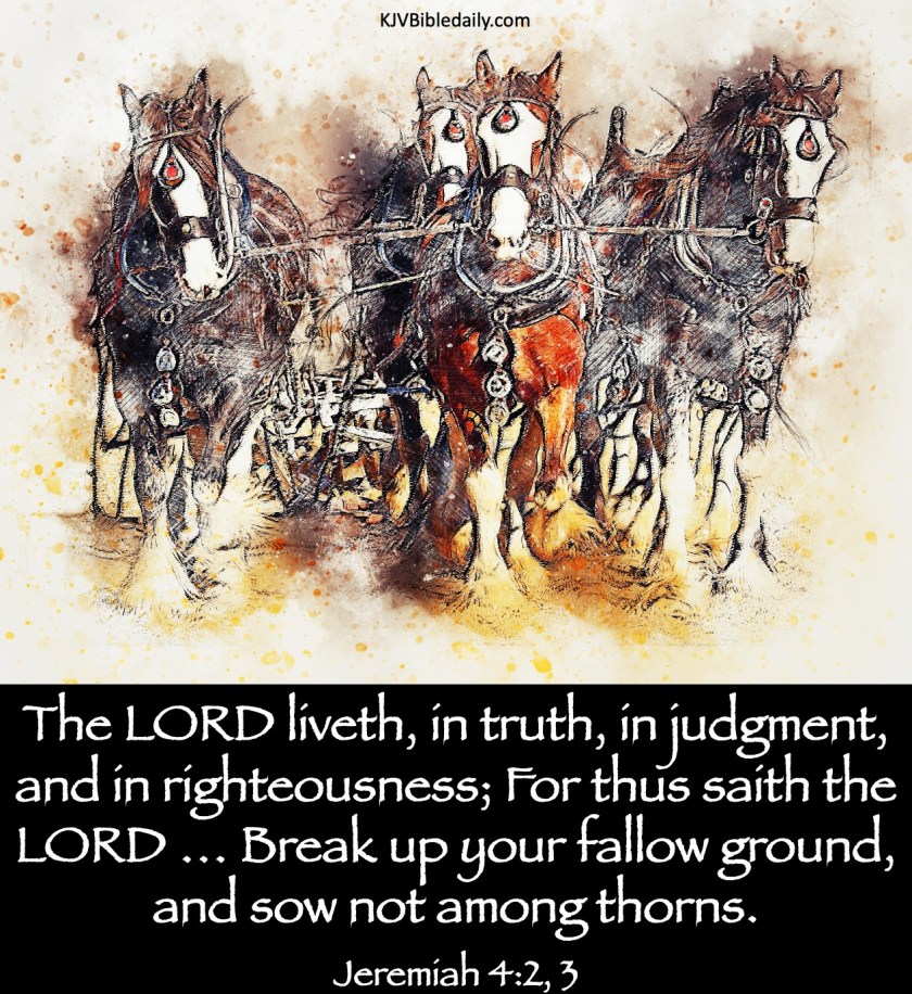 Jeremiah 4-2, 3 KJV