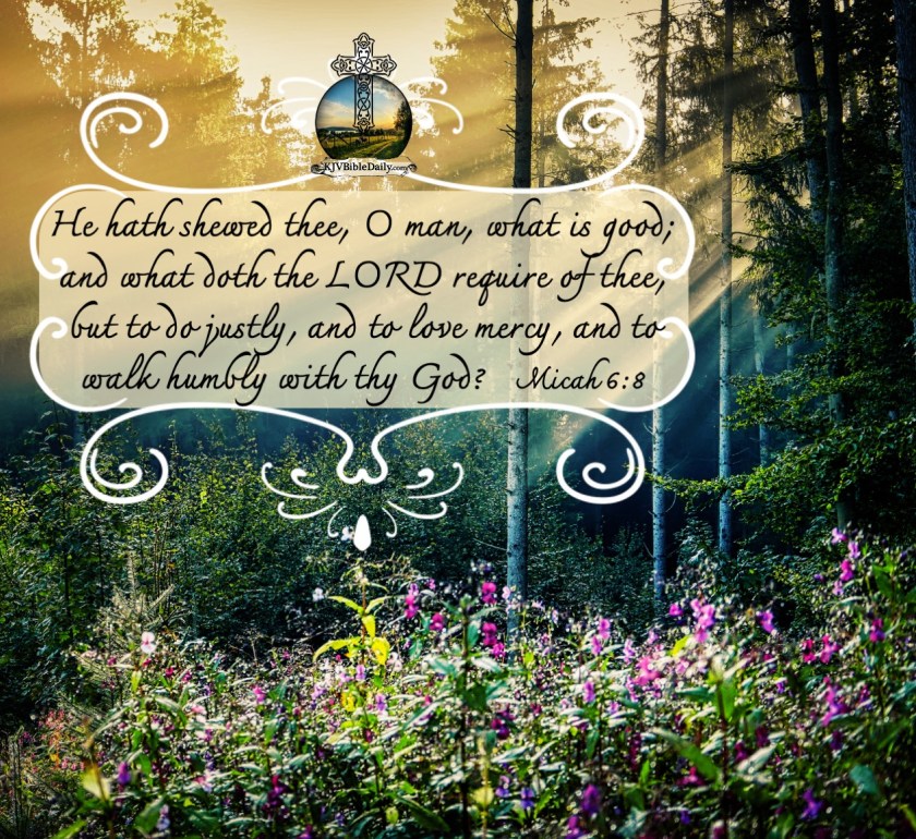 Micah 6-8 KJV