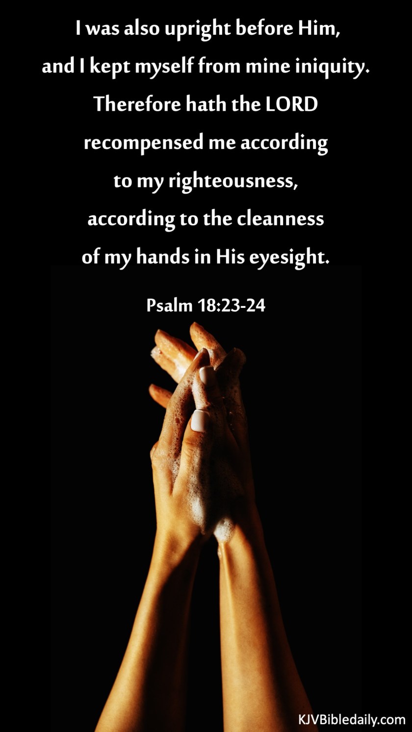 Psalm 18 23-24 KJV