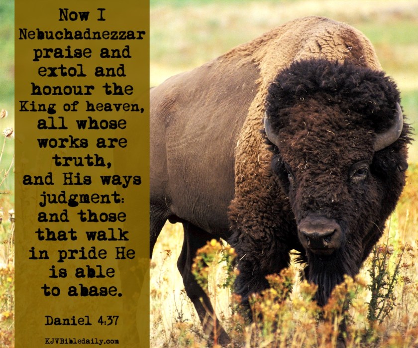 Daniel 4-37 KJV.jpg