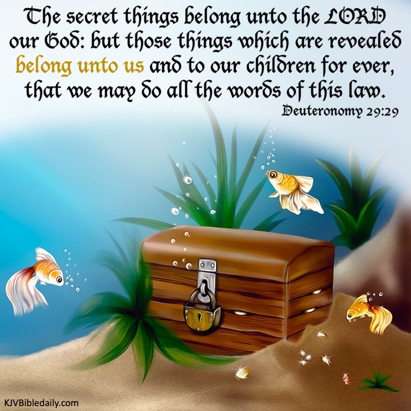 Deu 29-29 KJV.jpg