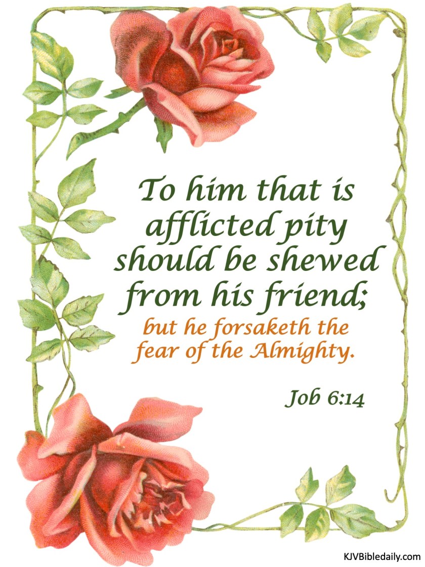 Job 6-14 KJV.jpg