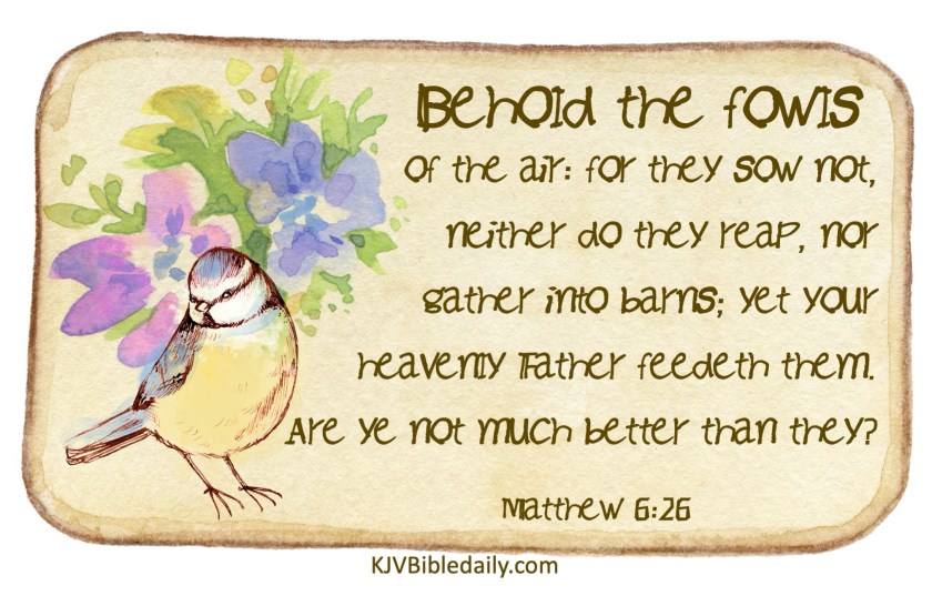 Matthew 6-26 KJV.jpg