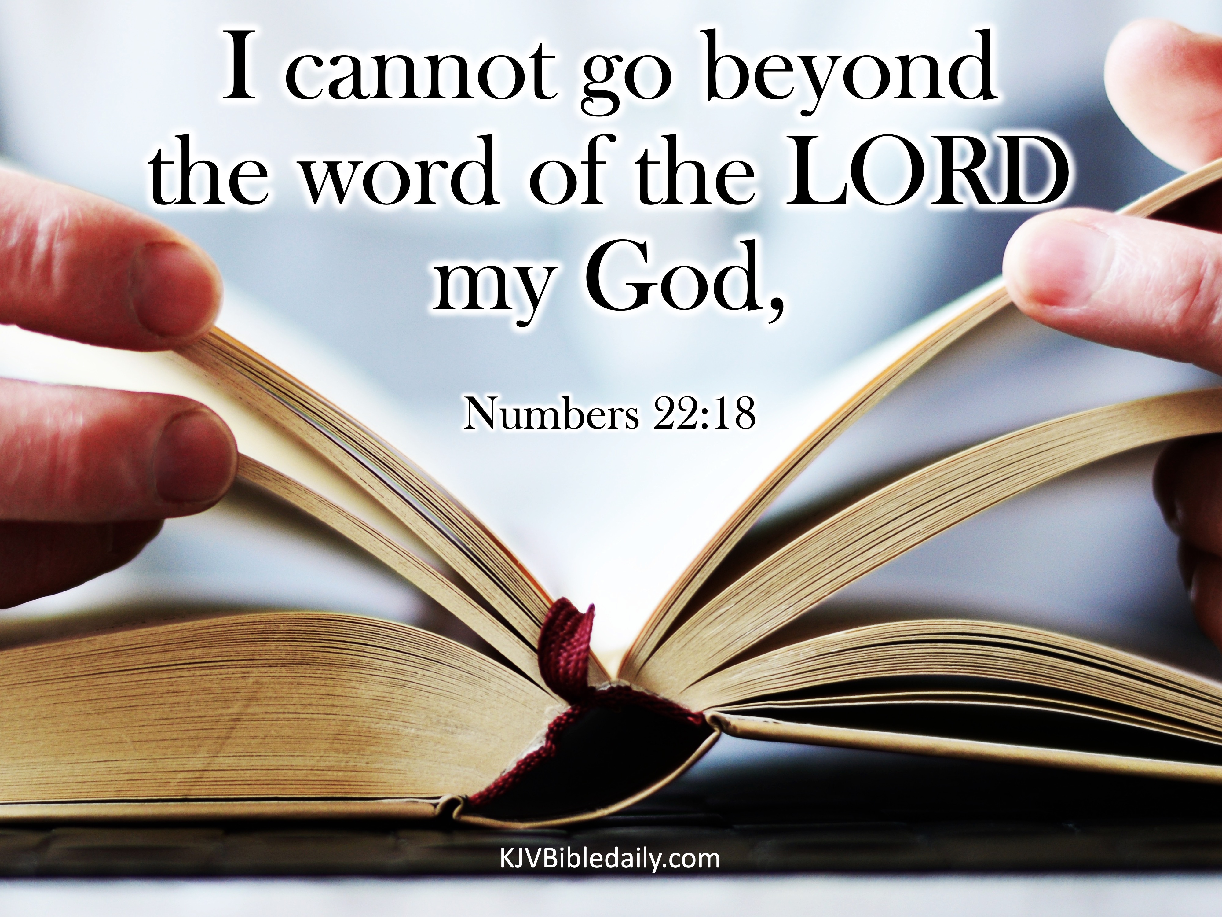 numbers-22-18-kjv-kjv-bible-verses