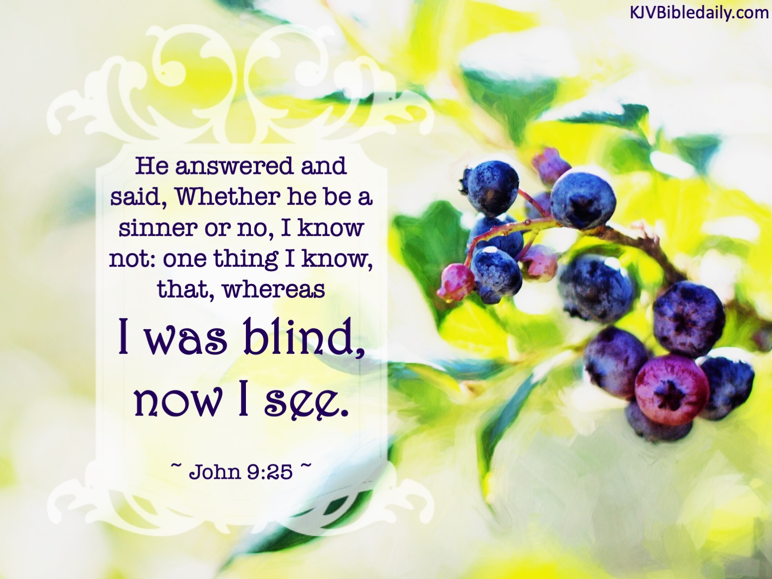 John 9:25 KJV – KJV Bible Verses
